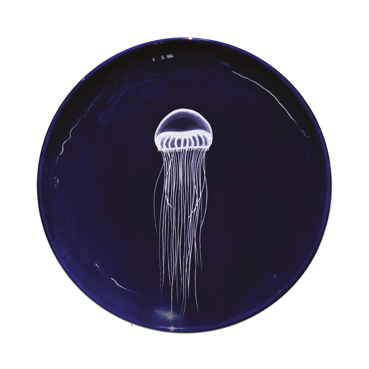 Assiette L Abysses Méduse