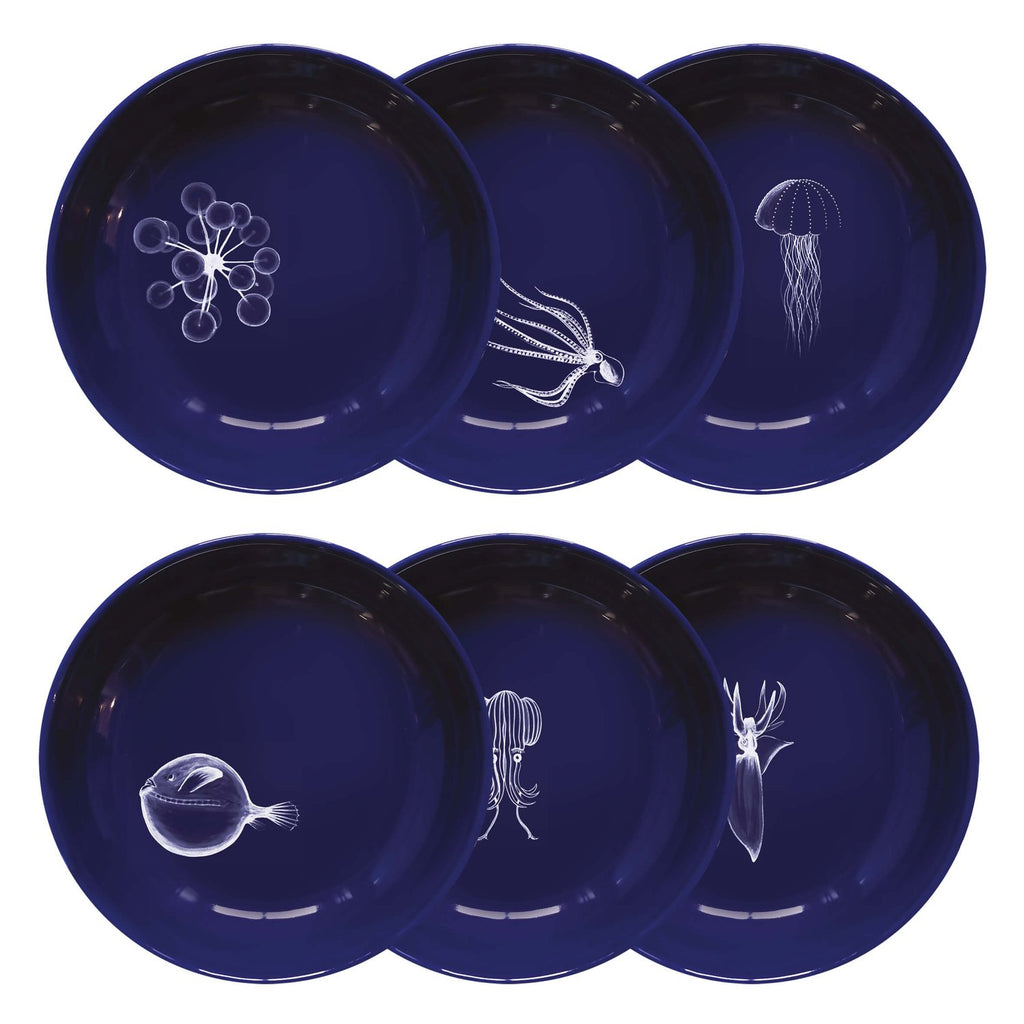 Assiette creuse Abysses