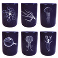 6 grands gobelets Abysses