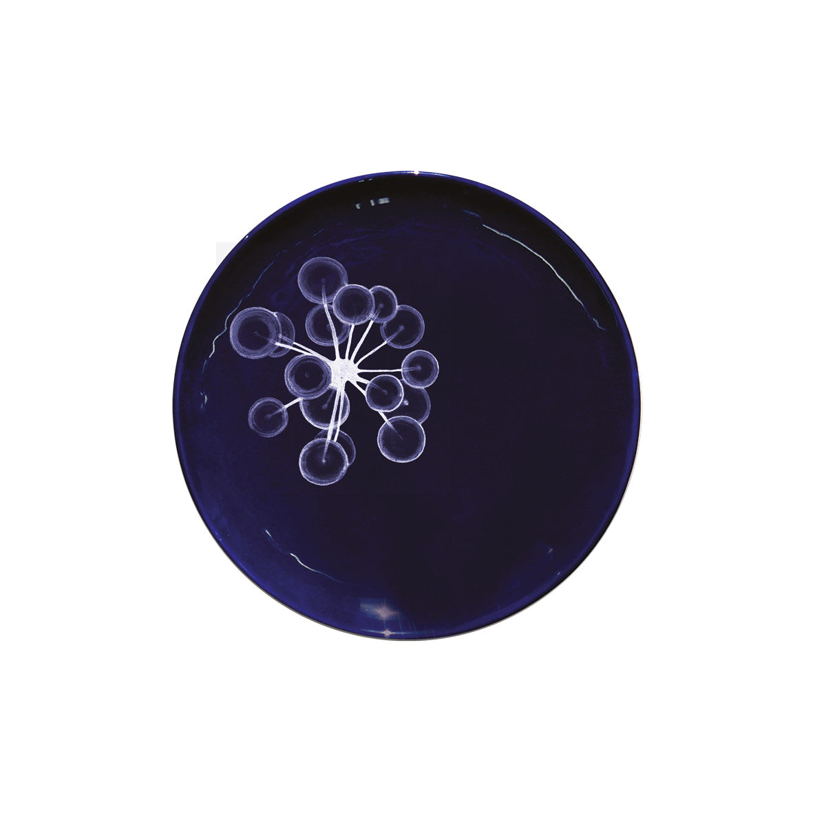 Assiette XS Abysses