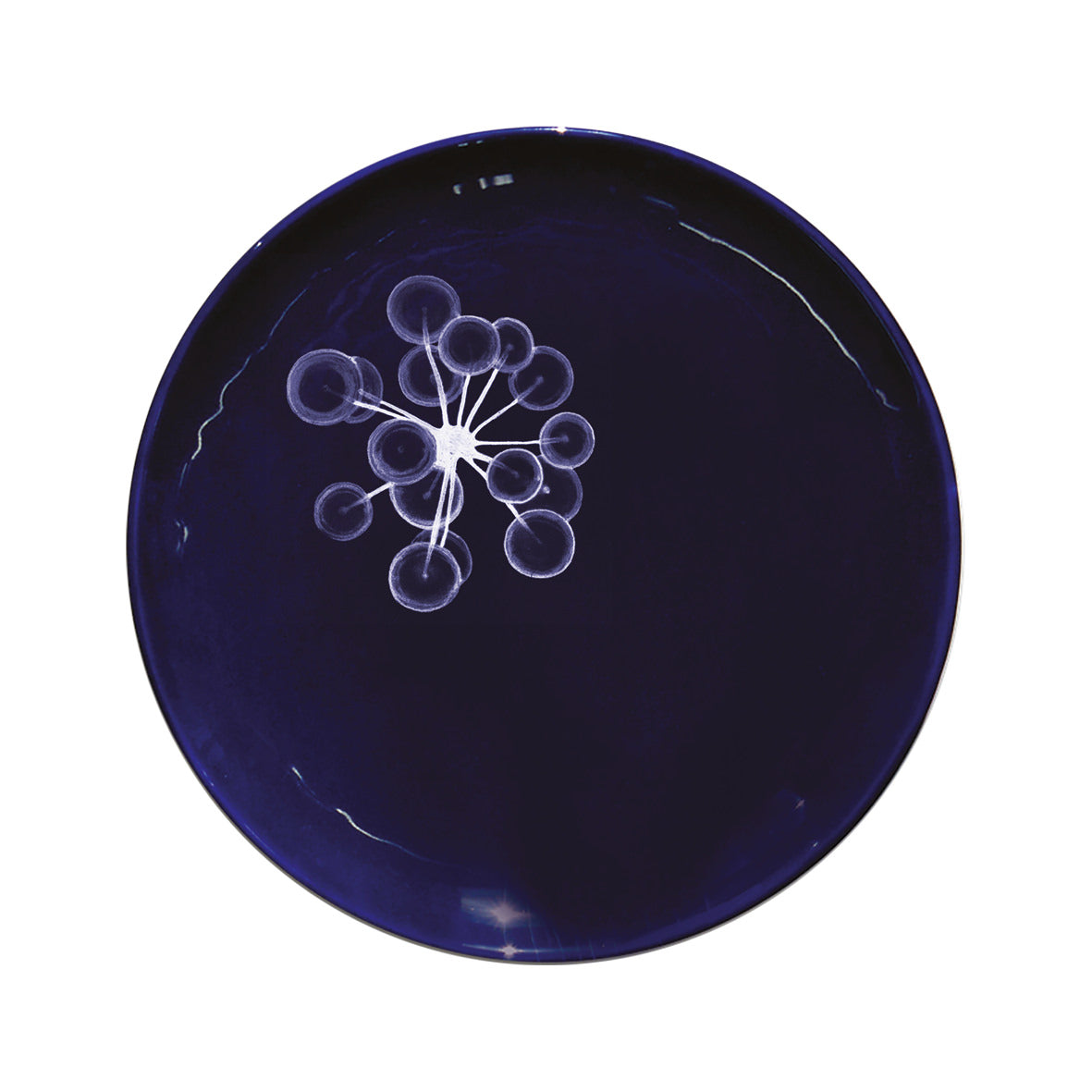Assiette M Abysses