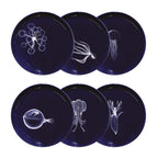 Assiette XS Abysses