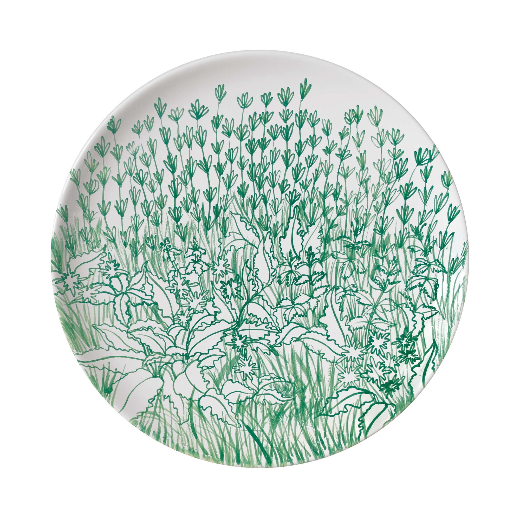 Verte